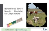 Herramientas para el Manejo Adaptativo del Campo Naturalºblicos/INIA Tacuarembó... · Herramientas para el Manejo Adaptativo del Campo Natural ... Estrategias de Manejo adaptativo