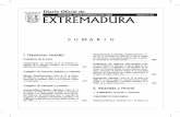 S U M A R I O - D.O.E. EXTREMADURAdoe.juntaex.es/pdfs/doe/1998/220o/220o.pdf · 1998, de la Universidad de Extremadura, por la que se nombra a D. Sergio José Ibáñez Godoy, Profesor