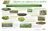 Pronativas – Promoviendo Jardines más Ecológicos, Diversos ...opciones para un jardín nativo! Capulín — Ferna micrantha Tamaño: árbol de 20 m o más de altura. Tamaño: árbol