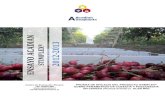 IAN 2013 - CERestudios.ceresearch.com/upload/pdf/Ensayo-Acadia-a...A una muestra de cincuenta frutos se les evaluó la calidad, medida como el peso de fruto, expresada en gramos, el