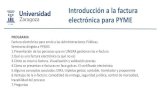 Introducción a la factura electrónica para PYMEsededocumentacion.unizar.es/curso/Factura_electronica_para_PYME... · 6.Ventajas de la e-factura: comodidad de entrega, seguridad