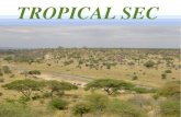 TROPICAL SEC - WordPress.com...Despedida SITUACIÓ El trobem en el Sàhara d’Àfrica, Aràbia, e Iran d’Àsia, al desert australià i a petites regions de Sudàfrica, Sudamèrica