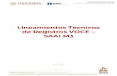 Lineamientos Técnicos de Registros VOCE SAAI M3oma · 2020. 8. 10. · Administración General Aduanas Administración Central de Modernización Aduanera Fecha: Aosto 2020 Lineamientos