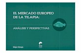 4. PRESENTACION TILAPIA€¦ · Datos globales Evolución importaciones de Filete de Tilapia Fuente: Eurostat Importaciones de Tilapia en UE (2012) Toneladas Valor (miles USD) TILAPIA