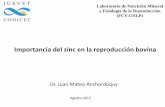 Importancia del zinc en la reproducción bovina · 10 20 30 40 50 60 Control Zn1 Zn2 Zn3 % Hatching a b b c Efecto del zinc en el medio de MIV sobre el porcentaje de blastocistos