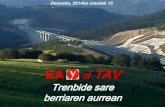 EA el TAV - AlkartasunaFundazioa · Programa electoral EH Bildu autonómicas CAV 2011 . 3.5. Gestión de una política de inversión en infraestructuras para el transporte, basada