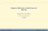 Álgebra Matricial y Optimización Ma130cb.mty.itesm.mx/materias/ma4011/materiales/a130-06.pdf · Rango de una Matriz Ma130 - p. 5/24 Rango renglón y Rango columna iguales Uno de