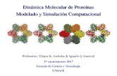 Dinámica Molecular de Proteínas Modelado y Simulación ... · Instalación mas complicada y uso alto y constante de RAM. 4 UNIX Dinámica Molecular – UNSAM – 2017 UNIX: Sistema