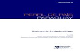 Perfil de pais Paraguay comp5€¦ · PERFIL DE PAÍS PARAGUAY / 7 crea en 2004 la “Iniciativa contra las Enfermedades Infecciosas en América del Sur” SAIDI, (por sus siglas