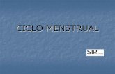CICLO MENSTRUAL - colegiomurialdo.cl · Ciclo menstrual: Cambios cíclicos que ocurren principalmente a nivel del ovario y del útero, cada cierto período de tiempo (promedio 28