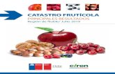 Catastro Frutícola - Región de Ñuble - Julio 2019Nuestro Catastro Frutícola vive un proceso de mejora continua, a la par del desarrollo de la industria que no solo debe ser relevada
