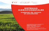 SISTEMAS AGROFORESTALES - Inicio...La agroforesteria es la parte fundamental del proceso integral de la conservación y mejoramiento del suelo. Reglas para agroforestería Las reglas