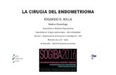 Presentación de PowerPoint - edgardo rollaedgardorolla.com.ar/wp-content/.../042-cirugi-ENDOMETRIOMA-SOGIBA … · endometriomas had a significant decline in ovarian reserve at one