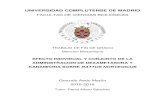 UNIVERSIDAD COMPLUTENSE DE MADRID martin.pdf · 2017. 10. 25. · zona fascicular de la corteza suprarrenal (Velasco et al., 2003). Están relacionados con el control del metabolismo