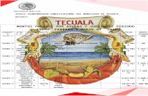 tecuala.gob.mxtecuala.gob.mx/.../d6/1ER-TRIMESTRE.docx · Web viewMANUEL ANTONIO NAVA DOMINGUEZ NADM570731HNTVMN07 5/01/2018 500 44101-1 AYUDA A PERSONAS U HOGARES ...