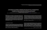 Calatrava la Vieja (Carrión de Calatrava, Ciudad Real ...institucional.us.es/revistas/spal/28_1/04_calatrava_la_vieja.pdf · CALATRAVA LA VIEJA (CARRIÓN DE CALATRAVA, CIUDAD REAL)