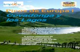 Picos de Europa I Covadonga ... · normas de acceso a los Lagos de Covadonga. Leer atentamente la explicación que se da en esta guía. 2 Los lagos y Covadonga El nombre de Covadonga