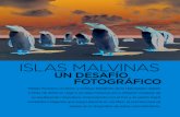 ISLAS MALVINAS - argentinambiental.com · ISLAS MALVINAS UN DESAFÍO FOTOGRÁFICO FIAT ARGENTINA Matías Romano un joven y exitoso fotógrafo de la Naturaleza realizó a fines de