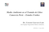 Medio Ambiente en el Tratado de Libre Comercio Perú ...€¦ · del TLC, establecer procedimientos para participación del público, coordinar con la Comisión de Cooperación Ambiental,