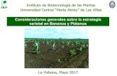 Consideraciones generales sobre la estrategia varietal en ...€¦ · •Podemos manejar una estrategia varietal que incluya cultivares obtenidos en Cuba y otros ya establecidos internacionalmente,