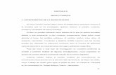 CAPITULO II MARCO TEÓRICO 1. ANTECEDENTES DE LA …virtual.urbe.edu/tesispub/0063522/cap02.pdf · Venezolano durante el período 1989-1995 en la recaudación tributaria dejada de