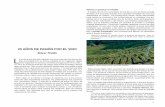 25 AÑOS DE PASIÓN POR EL VINOtacovin.com/pdf/vn2017/vn2.pdf · Las condiciones de asepsia no se practicaban porque se desconocía cómo le afectaba al proceso de la fermen-tación.