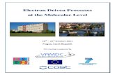 Electron Driven Processes at the Molecular Level€¦ · Electron Driven Processes. at the Molecular Level . 19th – 21st October 2011 Prague, Czech Republic This meeting is supported