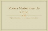 Zonas Naturales de Chile - cesdv.cl€¦ · Zonas Naturales de Chile Objetivo: Identificar las zonas naturales de Chile. ... la Costa en el Norte de Chile? 2- ¿Cuáles son las actividades