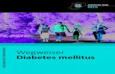 Z Wegweiser Diabetes mellitus - Hohenlohe · Diabetes mellitus gehört zu den großen Volkskrankheiten. Mit dem Ziel, den Erkrankten ein höheres Maß an Selbstbestimmung über ihre