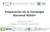Preparación de la Estrategia Nacional REDD+ · la Reducción de Emisiones de la Deforestación y Degradación de Bosques en Países en Desarrollo (Programa ONU REDD). Esquema del