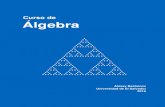 Curso de Álgebra€¦ · El nombre oﬁcial del curso es “Álgebra moderna”, pero esta es una expresión bastante anticuada: su origen es el libro de texto “Moderne Algebra”