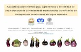Caracterización morfológica, agronómica y de calidad de una ......Caracterización morfológica, agronómica y de calidad de una colección de 10 variedades tradicionales valencianas