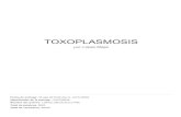 TOXOPLASMOSISrepositorio.unemi.edu.ec/bitstream/123456789/4705/2/3. REVISIÓN... · La toxoplasmosis es una enfermedad parasitaria frecuente, producida por el Toxoplasma gondii un