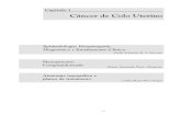 INCA - Instituto Nacional de Câncer · 2018. 6. 22. · 7 Fig. 4: Limites topográficos convencionais no tratamento do câncer de colo do útero, utilizando-se a técnica dos quatro