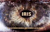 IRIS - Malaeva Iris.pdf · to-para-comenzar-lo-otro en la que viven, de la ilusión de poder a la que se aferran creando un mundo que, por estar bajo su control, pueda esconder en