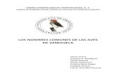 NOMBRES COMUNES AVES DE VENEZUELA 4ta EDICION 2017uvo.ciens.ucv.ve/wp-content/uploads/2012/01/NOMBRES-COMUNES-… · Nombres Comunes de las Aves de Venezuela 3 A manera de prólogo