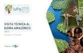 VISITA TÉCNICA AL BIOMA AMAZÓNICOiufro2019.com/wp-content/uploads/2019/04/IUFRO_Tour_6-ES.pdf · Este viaje fue especialmente preparado para conocer el Bioma Amazónico y visitar