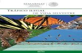 Tráfico ilegal - Gob · 2013. 12. 19. · Cuadernos de divulgación ambiental Tráfico ilegal de vida silvestre Primera edición: 2013 Investigación y texto: Lucía Nadal Urías,