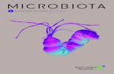 BIOCODEX BOLETÍN MARZO 2018 · que se han encontrado bacterias en el cordón umbilical, la placenta, el líquido amniótico y el meconio [2]. Después del nacimiento, una microbiota