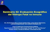 Seminario 82: Evaluación Ecográfica del Hidrops Fetal no Inmune … · 2016. 8. 8. · Hart Isaacs, Jr. Fetal Hydrops Associated with Tumors. Am J Perinatol 2008;25:43–68 ! 158