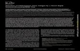 Detection of Chikungunya Virus Antigen by a Novel Rapid ... · Detection of Chikungunya Virus Antigen by a Novel Rapid Immunochromatographic Test Tamaki Okabayashi,a,f Tadahiro Sasaki,f