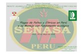 Plagas de paltos y cítricos en Perú y su manejo con ...El control biológico es la acción natural responsable de la regulación del número de plantas y animales. Es el elemento