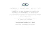 UNIVERSIDAD TECNOLÓGICA EQUINOCCIALrepositorio.ute.edu.ec/bitstream/123456789/5073/1/56051_1.pdf · tomate de árbol amarillo sin concentrar 18 Tabla 4. Tratamientos de deshidratación