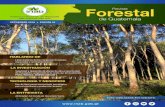 Revista Forestal de Guatemala - SIFGUAsifgua.org.gt/Biblioteca/Revistas/pdf/revistaforestaledicion4.pdf · El INAB como ente rector en materia forestal ha tenido participaciones importantes