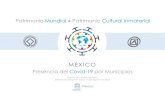 MÉXICO · 2020. 8. 10. · 2018 / M / Valle de Tehuacán -Cuicatlán: H. originario de Mesoamérica Lista del Patrimonio Cultural Inmaterial Las fiestas indígenas dedicadas a los