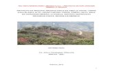 PROYECTO DE RESCATE ARQUEOLÓGICO DE TRES (3) SITIOS ... Finales/Resca… · Ministerio de Cultura, lo cual permitirá a Rio Tinto Minera Perú Limitada SAC., cumplir con todas la