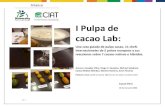 I Pulpa de cacao Lab...pg. 1 I Pulpa de cacao Lab: Una cata guiada de pulpa cacao, 11 chefs internacionales de 5 países europeos y sus reacciones sobre 7 cacaos nativos e híbridos.
