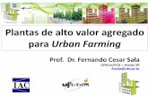 Plantas de alto valor agregado para Urban Farming · BABY LEAF É MAIS NUTRITIVO!!! Teores de nutrientes em alface - Baby Leaf (BL) e Madura (M) Nutrientes –potencial muito alto