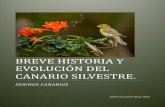 EVOLUCIOÓN DEL CANARIO SILVESTRE. · las claves de la colonización biológica de Canarias, y pasemos a la avifauna isleña, y especialmente a su representante más famoso, el “serinus