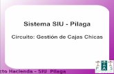 Sistema SIU - Pilaga · 2019. 10. 16. · 29/05/12 5 El siguiente diagrama describe el circuito general de Caja Chica, correspondiente al caso en que la rendición del fondo se efectúa